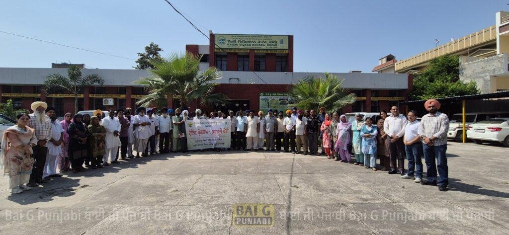 ਪੰਜਾਬ ਖੇਤੀਬਾੜੀ ਯੂਨੀਵਰਸਿਟੀ-ਕ੍ਰਿਸ਼ੀ ਵਿਗਿਆਨ ਕੇਂਦਰ ਰੋਪੜ ਵੱਲੋਂ ਕਿਸਾਨਾਂ ਲਈ ਕੁਦਰਤੀ ਖੇਤੀ ਸਿਖਲਾਈ ਪ੍ਰੋਗਰਾਮ ਦਾ ਆਯੋਜਨ 1000451728