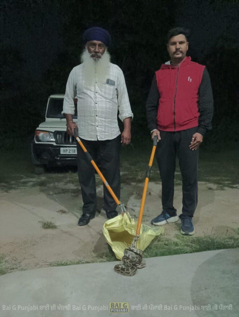 नानकपुरा के एक घर के आंगन से वन विभाग की टीम ने भारी सांप को पकड़ा 1000454890