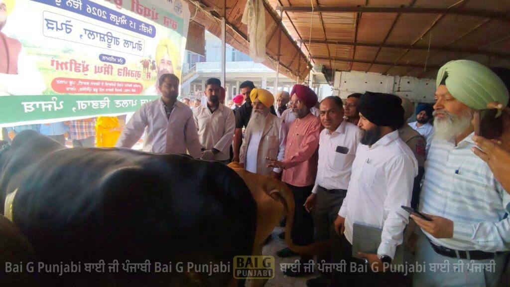 ਕੈਬਨਿਟ ਮੰਤਰੀ ਗੁਰਮੀਤ ਖੁੱਡੀਆਂ ਨੇ ਰਾਜ ਪੱਧਰੀ ਮੂੰਹ-ਖੁਰ ਟੀਕਾਕਰਨ ਮੁਹਿੰਮ ਦੀ ਸ਼ੁਰੂਆਤ ਗੋਪਾਲ ਗਊਸ਼ਾਲਾ ਤੋਂ ਕੀਤੀ 1000466574